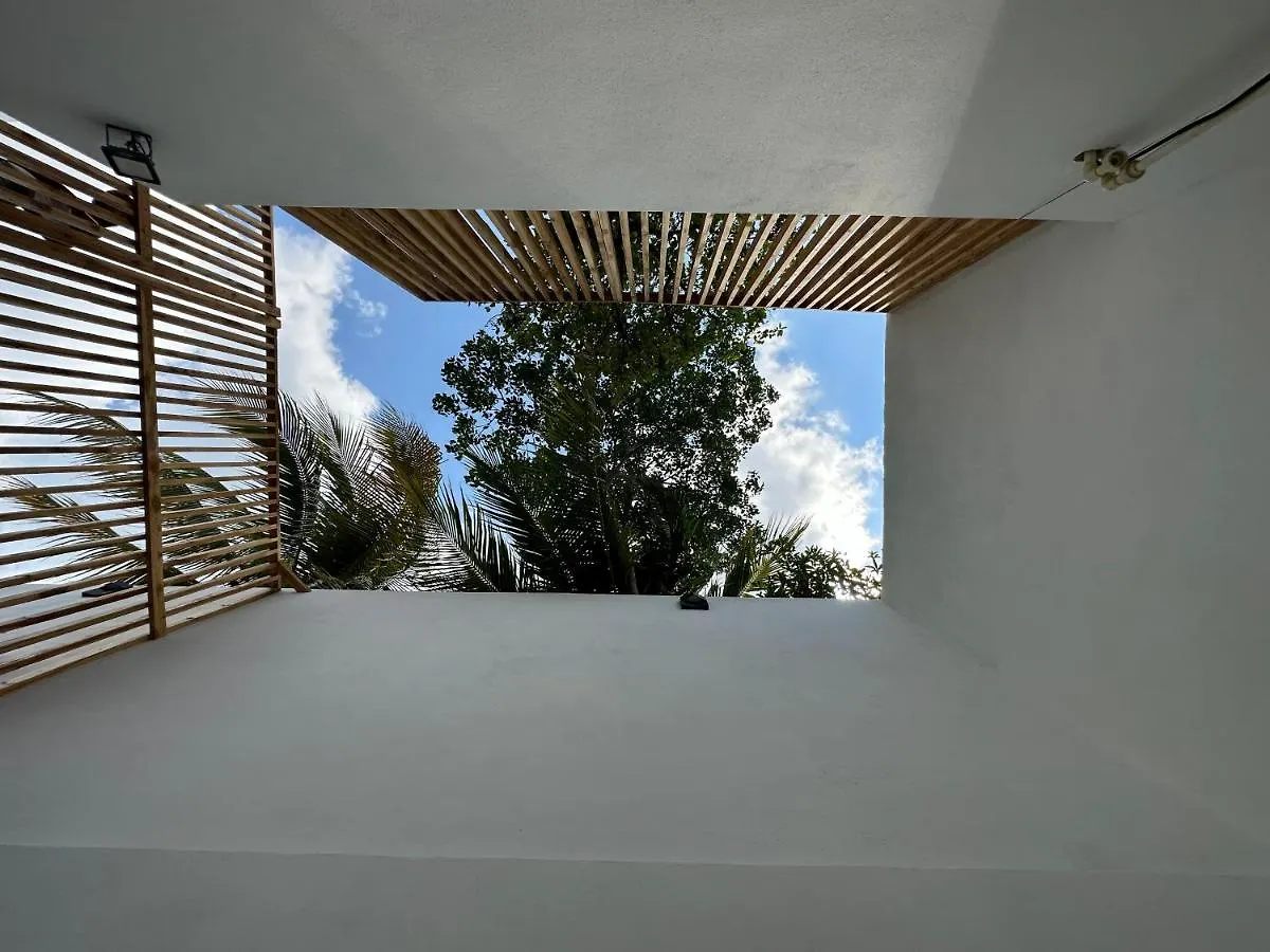 King Royal Villa - Luxury In Cozumel Center Mexico