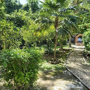 Mini Pini Bird Watching And Cenote Loft Cozumel